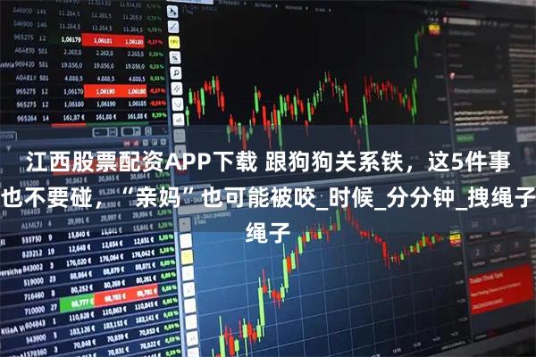 江西股票配资APP下载 跟狗狗关系铁，这5件事也不要碰，“亲妈”也可能被咬_时候_分分钟_拽绳子