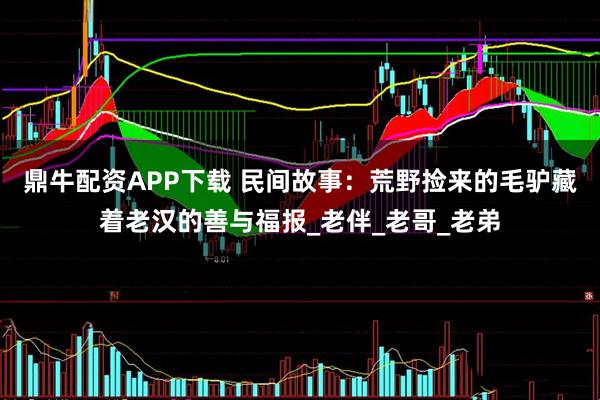 鼎牛配资APP下载 民间故事：荒野捡来的毛驴藏着老汉的善与福报_老伴_老哥_老弟