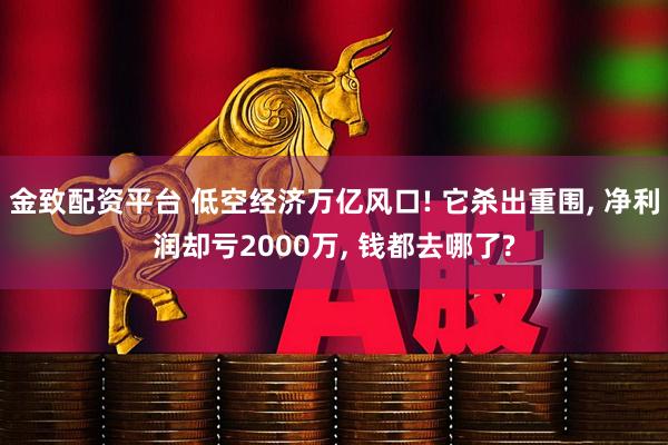 金致配资平台 低空经济万亿风口! 它杀出重围, 净利润却亏2000万, 钱都去哪了?